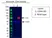 Anti Human CD44 Antibody, clone 156-3C11 (Monoclonal Antibody Antibody) thumbnail image 7
