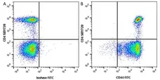 Anti Human CD44 Antibody, clone 156-3C11 (Monoclonal Antibody Antibody) gallery image 9