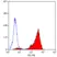 Anti Human CD44 Antibody, clone F10-44-2 thumbnail image 3