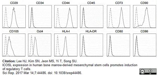 Anti Human CD44 Antibody, clone F10-44-2 gallery image 4