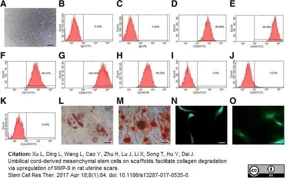 Anti Human CD44 Antibody, clone F10-44-2 gallery image 7