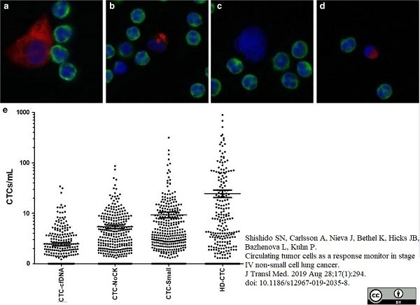 Anti Human CD45 Antibody, clone F10-89-4 thumbnail image 10