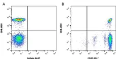 Anti Human CD45 Antibody, clone F10-89-4 gallery image 2