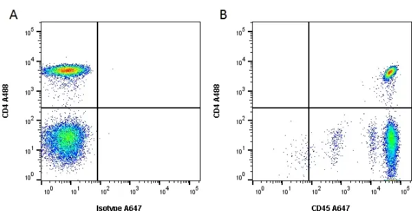 Anti Human CD45 Antibody, clone F10-89-4 gallery image 2