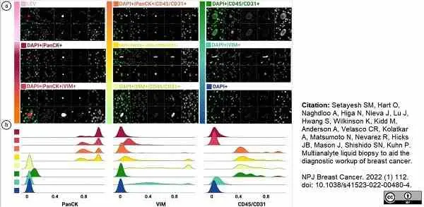 Anti Human CD45 Antibody, clone F10-89-4 gallery image 25