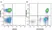 Anti Human CD45 Antibody, clone F10-89-4 thumbnail image 29