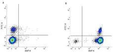 Anti Human CD45 Antibody, clone F10-89-4 gallery image 3