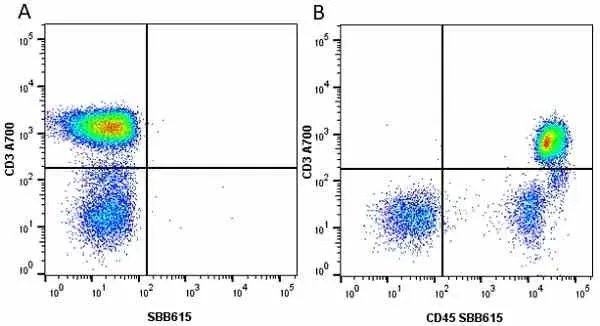 Anti Human CD45 Antibody, clone F10-89-4 gallery image 31