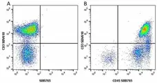Anti Human CD45 Antibody, clone F10-89-4 gallery image 33