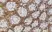 Anti Human CD45 Antibody, clone F10-89-4 thumbnail image 4