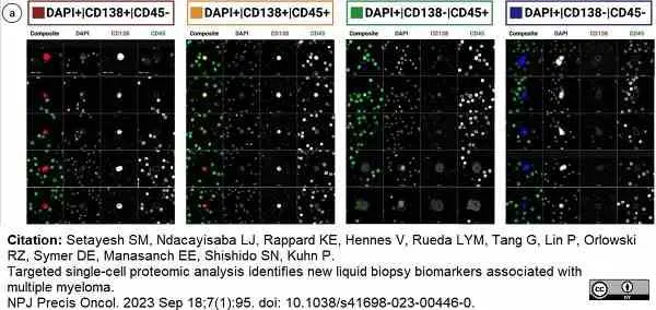 Anti Human CD45 Antibody, clone F10-89-4 gallery image 41