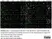 Anti Human CD45 Antibody, clone F10-89-4 thumbnail image 43