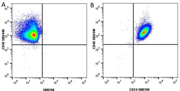 Anti Human CD45 Antibody, clone F10-89-4 gallery image 55