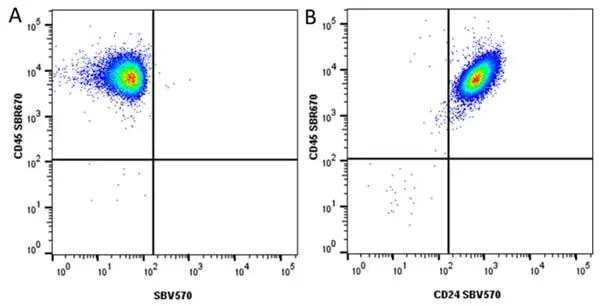 Anti Human CD45 Antibody, clone F10-89-4 gallery image 57