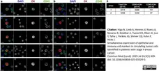 Anti Human CD45 Antibody, clone F10-89-4 gallery image 59