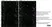 Anti Human CD45 Antibody, clone F10-89-4 thumbnail image 60