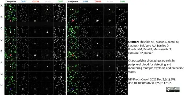Anti Human CD45 Antibody, clone F10-89-4 gallery image 60