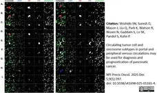 Anti Human CD45 Antibody, clone F10-89-4 gallery image 61