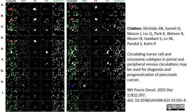 Anti Human CD45 Antibody, clone F10-89-4 gallery image 61