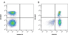 Anti Human CD45 Antibody, clone YTH24.5 gallery image 1