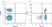 Anti Human CD45 Antibody, clone YTH24.5 thumbnail image 1
