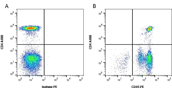 Anti Human CD45 Antibody, clone YTH24.5 gallery image 2