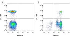 Anti Human CD45 Antibody, clone YTH24.5 gallery image 3