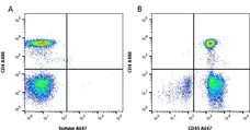 Anti Human CD45 Antibody, clone YTH24.5 gallery image 4