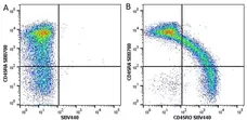 Anti Human CD45RA Antibody, clone F8-11-13 gallery image 11