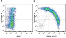Anti Human CD45RA Antibody, clone F8-11-13 gallery image 20