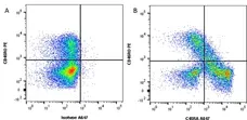 Anti Human CD45RA Antibody, clone F8-11-13 gallery image 3