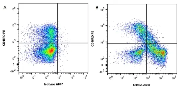 Anti Human CD45RA Antibody, clone F8-11-13 gallery image 3