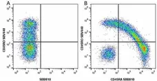 Anti Human CD45RA Antibody, clone F8-11-13 gallery image 47