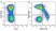 Anti Human CD45RA Antibody, clone F8-11-13 thumbnail image 53
