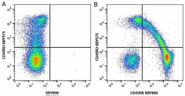 Anti Human CD45RA Antibody, clone F8-11-13 gallery image 57