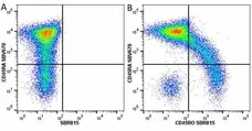Anti Human CD45RA Antibody, clone F8-11-13 gallery image 60