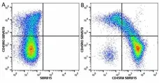 Anti Human CD45RA Antibody, clone F8-11-13 gallery image 61