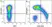 Anti Human CD45RA Antibody, clone F8-11-13 thumbnail image 67