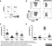 Anti Human CD45RA Antibody, clone F8-11-13 thumbnail image 6