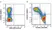 Anti Human CD45RA Antibody, clone F8-11-13 thumbnail image 71