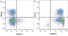 Anti Human CD45RB Antibody, clone MEM-55 gallery image 1