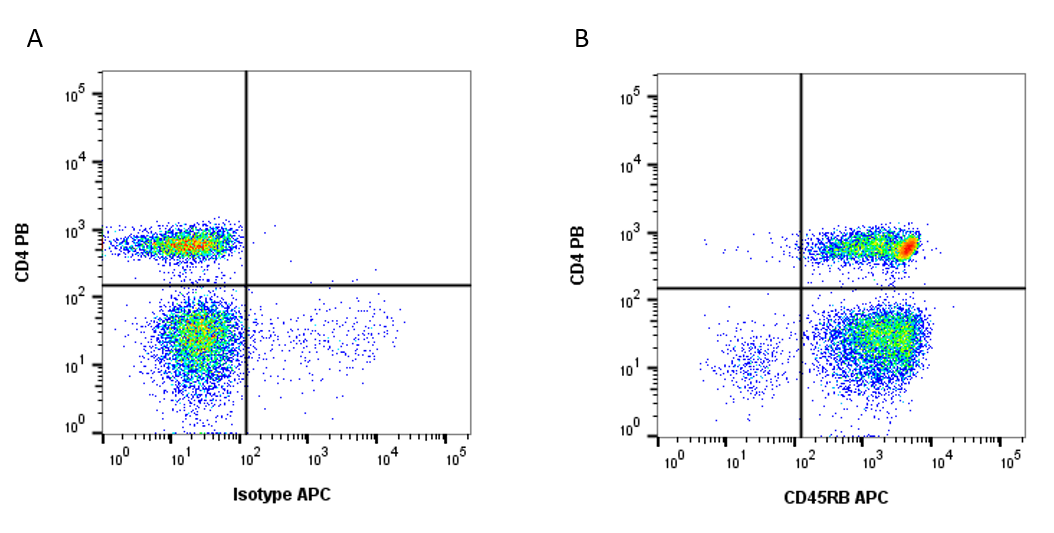 Anti Human CD45RB Antibody, clone MEM-55 gallery image 2