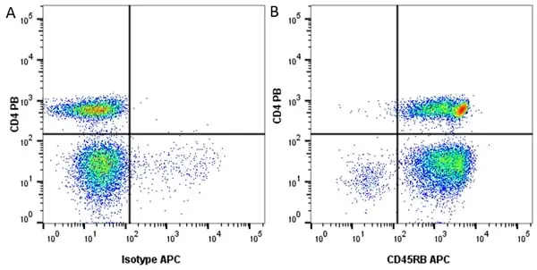 Anti Human CD45RB Antibody, clone MEM-55 gallery image 2