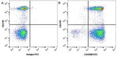 Anti Human CD45RB Antibody, clone MEM-55 gallery image 3