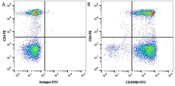 Anti Human CD45RB Antibody, clone MEM-55 gallery image 3