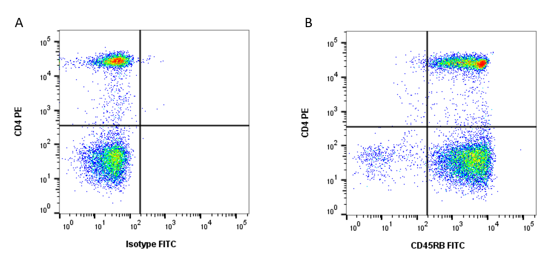 Anti Human CD45RB Antibody, clone MEM-55 | Bio-Rad