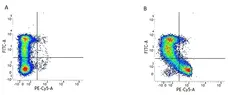 Anti Human CD45RO Antibody, clone UCHL1 gallery image 1