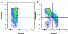 Anti Human CD45RO Antibody, clone UCHL1 gallery image 2