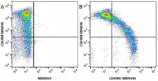 Anti Human CD45RO Antibody, clone UCHL1 gallery image 25