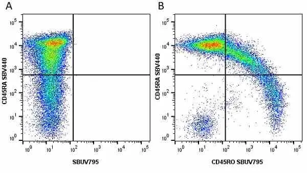 Anti Human CD45RO Antibody, clone UCHL1 gallery image 27
